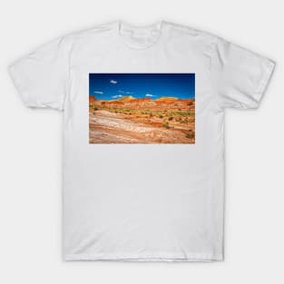 The Toadstool Trail at Grand Staircase-Escalante National Monument T-Shirt